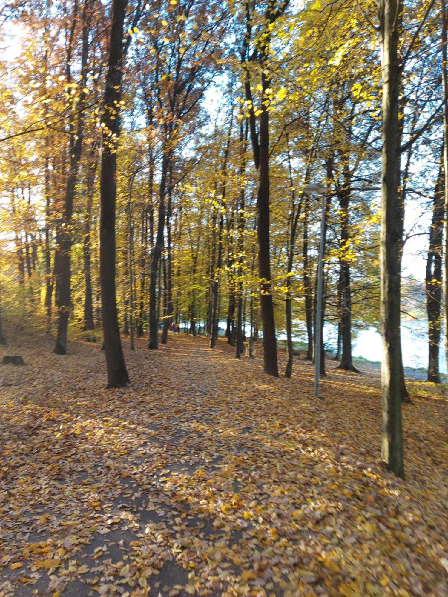 Apartmany Luhačovice Exteriér fotografie